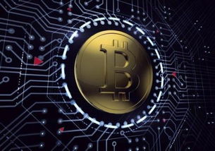 深度解析夸克链信系统开发定制 赋能企业数字化转型的关键路径